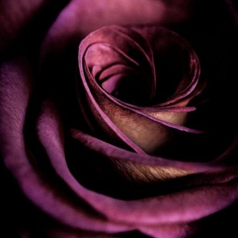 Записная книжка 18+