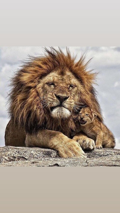 Личный авторский блог