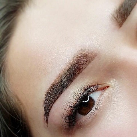 IMPERIA BROWS.