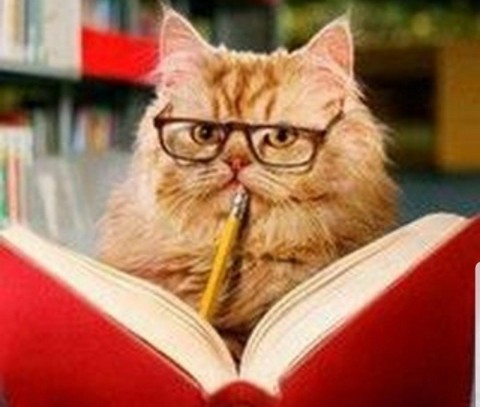 Британский недостудент