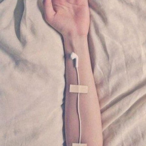 Для меломанов