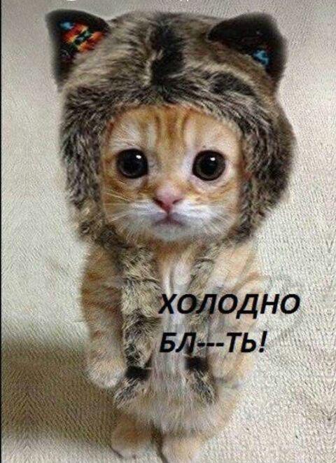 Видосы кидай