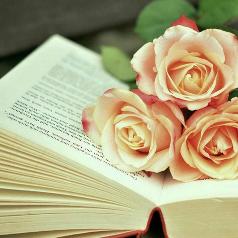 Знания для Альфа-девочек