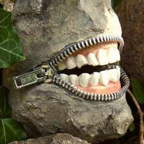 Доминация культур