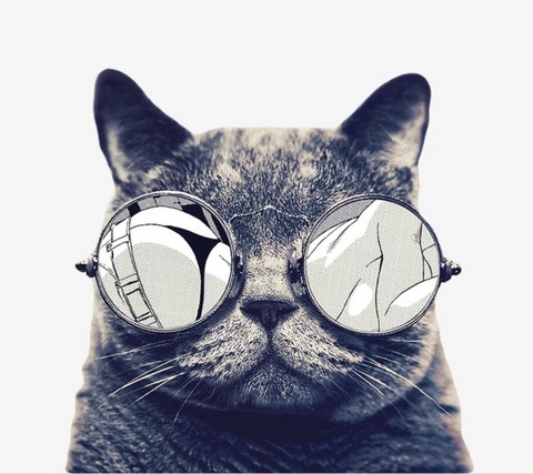 Немецкая Еврофифа