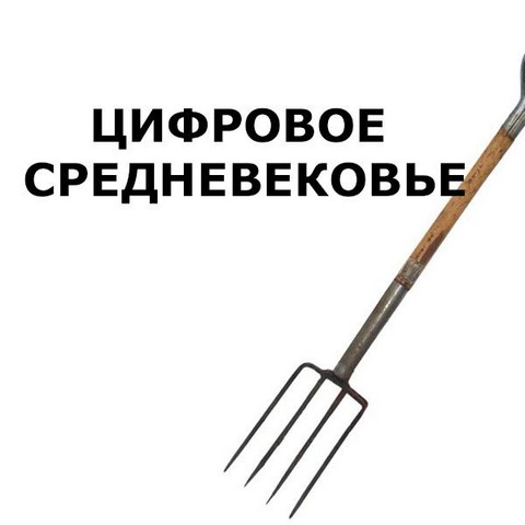Цифровое Средневековье
