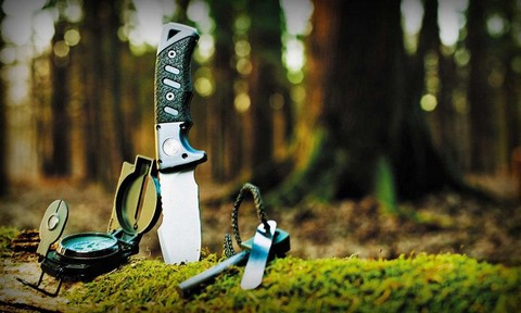 Выживальщик