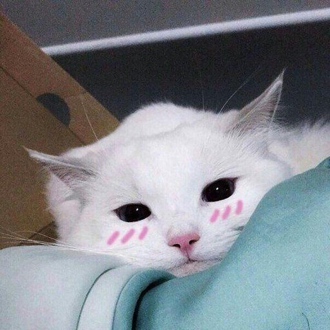 Картиночный