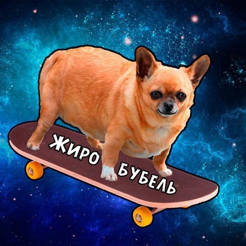 Жиробубель