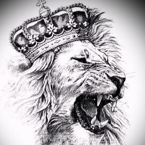 Полезные курсы & полностью бесплатно