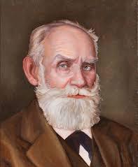 Котейка Павлова