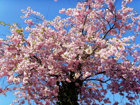 Волшебный Космос