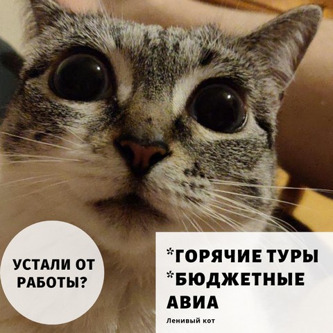 Ленивый Кот