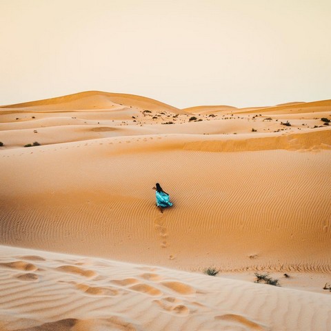 Волшебный оазис