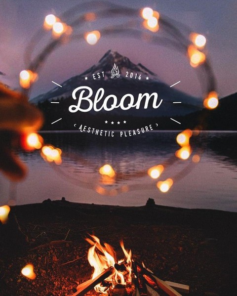 Bloom
