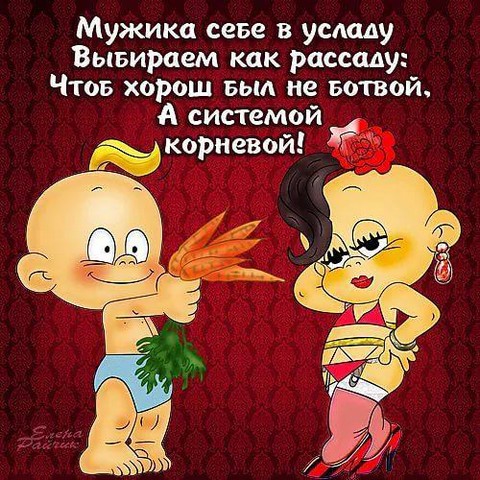 Анекдоты на перерыв