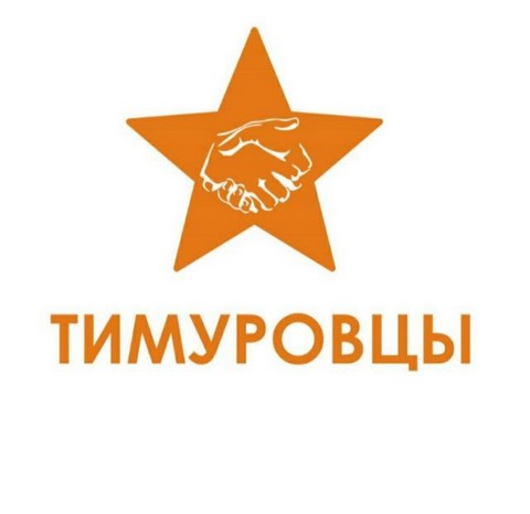 Тимуровцы Уфы, подработка