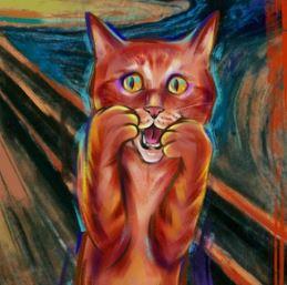 Магазин товаров