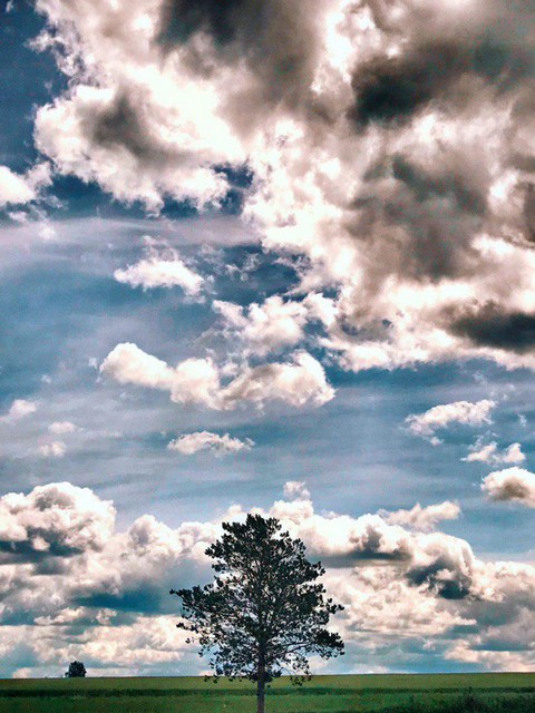 Мысли вслух от музыканта