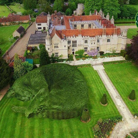 БезИпотечная квартира