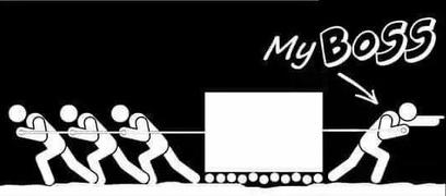 Переполох (GIF+юмор)