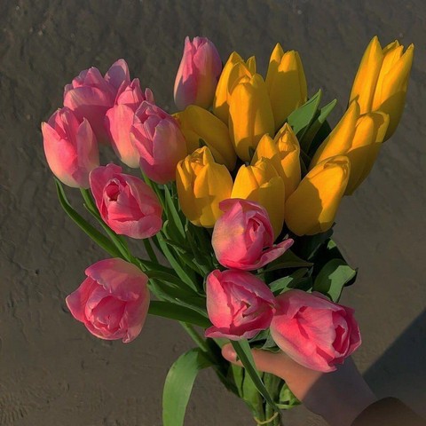 Красивые эстетичные фотографии