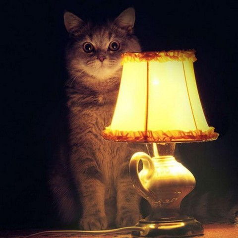 Разные истории