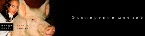 Экспертное мнение