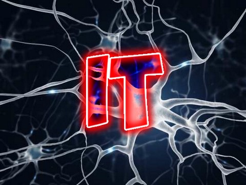 Информационная Тупость