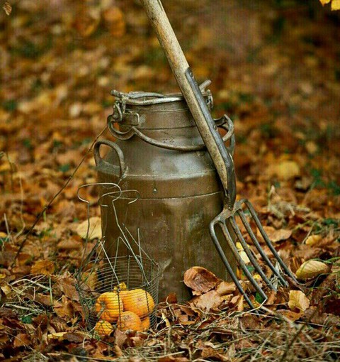 Вещи без названий