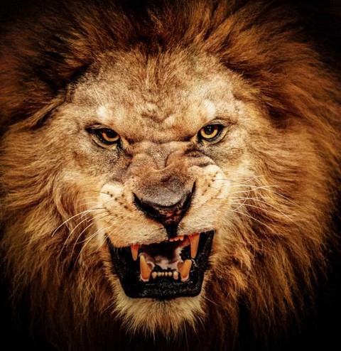 Только позитив :)