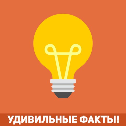 Уникальные факты!