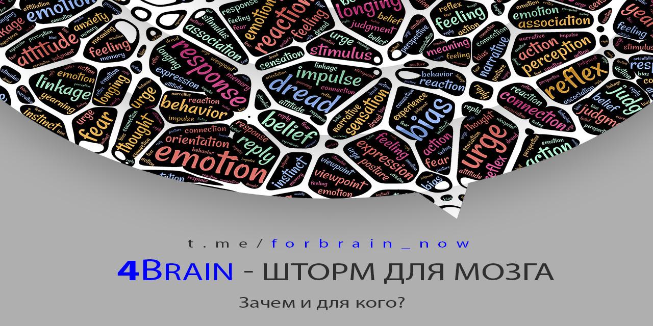 4Brain