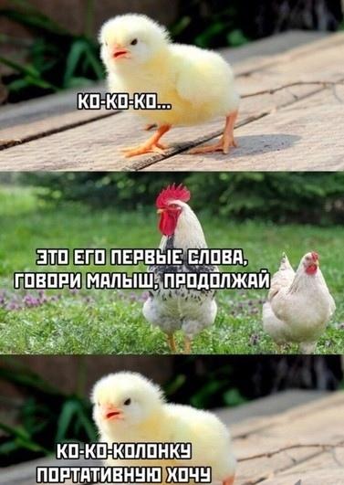 Грязное животное