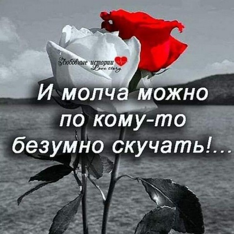 Общение и знакомства