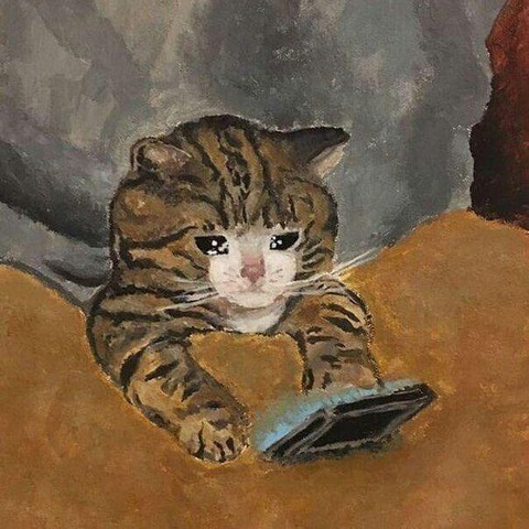 Блог Школьника