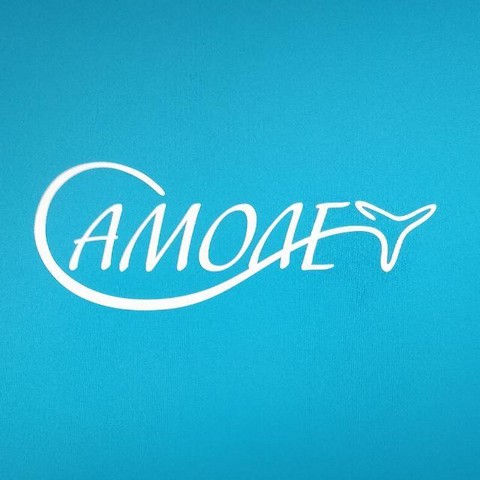 Агентство САМОЛЕТ
