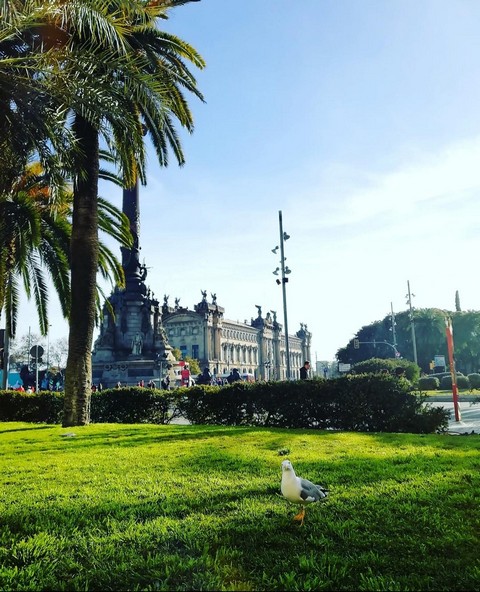 Испанский язык