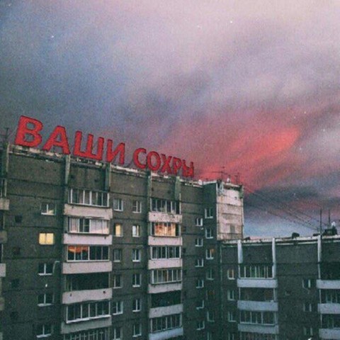 Сохранённые фотографии.