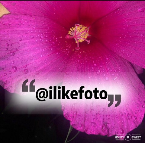 I❤️Foto. Фотолюбители