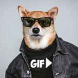 У нас лучшие Гифки со всего мира.