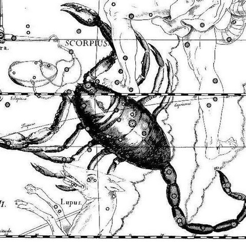 Гороскоп Скорпиона