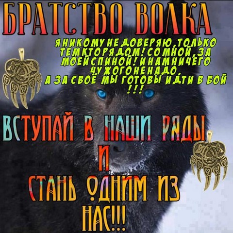 Волчье логово