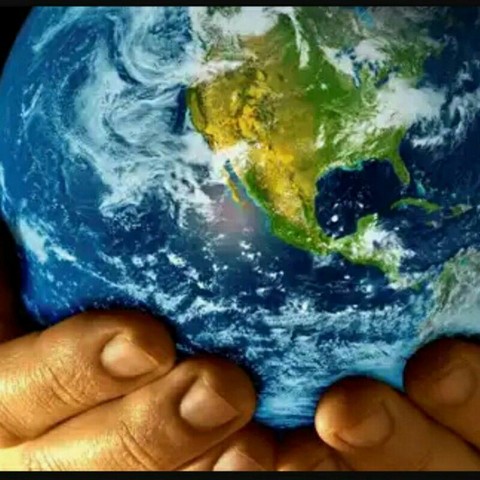 Интересные факты