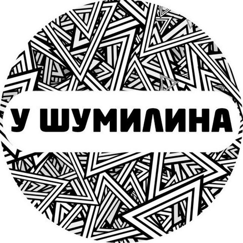 У Шумилина