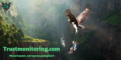 Trustmonitoring