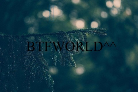 BTFWORLD^^