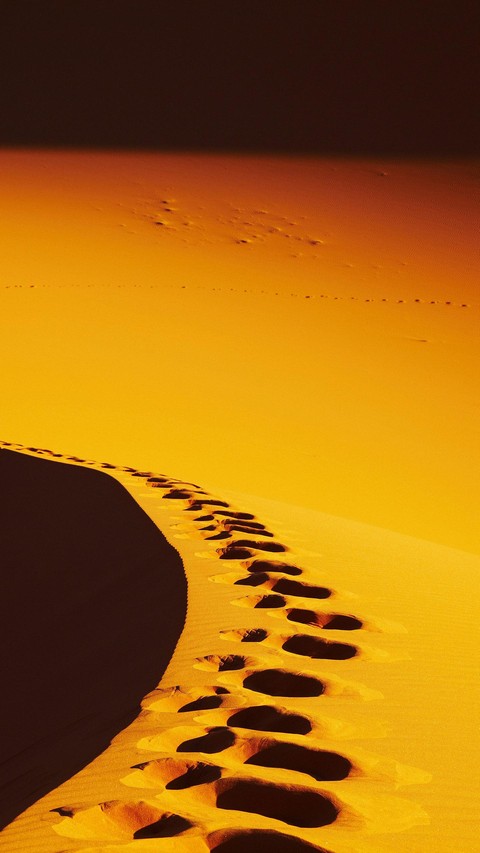 Общение Москва