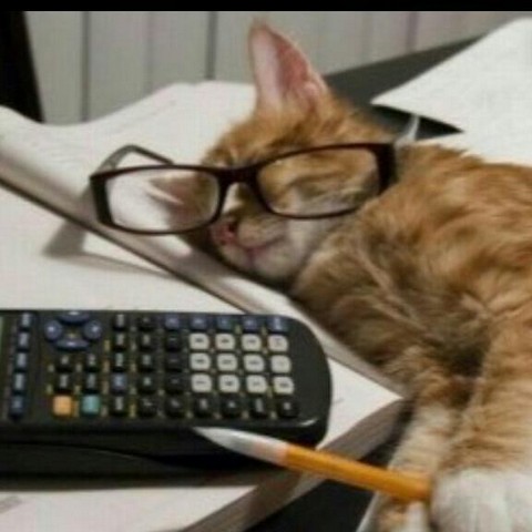 Бухгалтера России