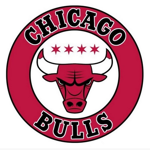 BULLS NATION